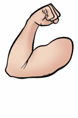 Free Arm Cliparts, Download Free Clip Art, Free Clip Art on ...