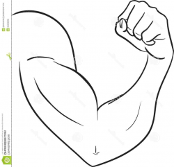 Arms clipart black and white 4 » Clipart Station