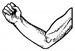Free White Arm Cliparts, Download Free Clip Art, Free Clip ...