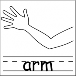 Clip Art: Parts of the Body: Arm B&W I abcteach.com | abcteach