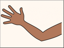Clip Art: Parts of the Body: Arm Color Unlabeled I abcteach ...