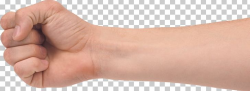 Hand Forearm PNG, Clipart, Anatomy, Arm, Clip Art, Computer ...