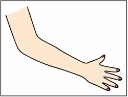 Arm clipart full hand, Arm full hand Transparent FREE for ...