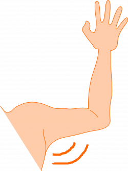 Left Arm Clipart - Clip Art Library