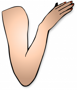Arm PNG Images Transparent Free Download | PNGMart.com