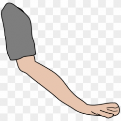 Free Arm Clipart PNG Images | Arm Clipart Transparent ...