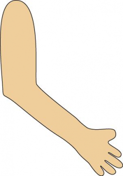 Folded Arm Transparent PNG Clipart - Clip Art Library
