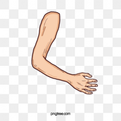 Arm Clipart Png, Vector, PSD, and Clipart With Transparent ...
