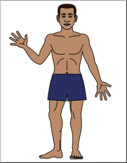 Clip Art: Human Body: Front View Color Blank I abcteach.com | abcteach