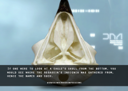 If one were to look at a eagle\'s skull from the bottom, you ...
