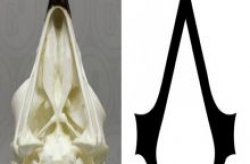 The Assassin\'s Creed logo looks like the bottom of an ...