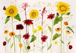 Ann Fraser, The August garden | Ann Fraser: Art is the ...