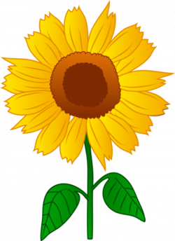 Collection of free Sunflower svg august. Download on UI Ex