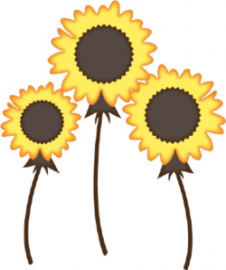 August sunflower clipart free images - ClipartBarn