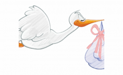 Stork Clipart Baby Stuff - Stork Carrying Baby Girl, Transparent Png ...
