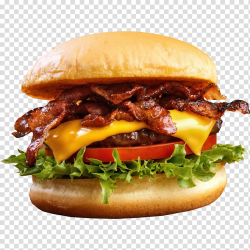 Bacon cheeseburger, Cheeseburger Bacon Hamburger Wrap Hot ...