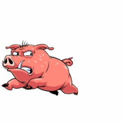 Bacon PNG Images | Bacon Transparent PNG - Vippng