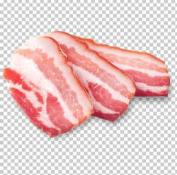 Bacon Ham Domestic Pig Salami Pork Jowl PNG, Clipart, Animal ...