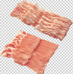 Bacon Pork PNG, Clipart, Animal Fat, Animal Source Foods ...