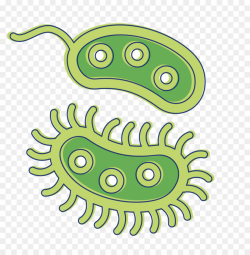 Bacteria Cartoon clipart - Illustration, Graphics, Drawing ...