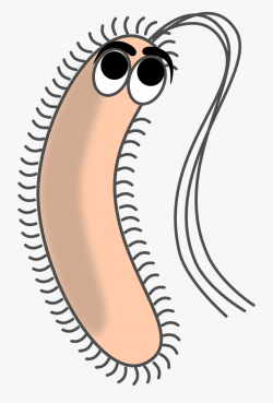 Bacteria Filaments Germ Free Picture - Bacteria Clipart ...
