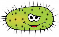 Animated Bacteria Clipart