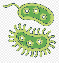 Animated Bacteria Clipart - Illustration - Png Download ...