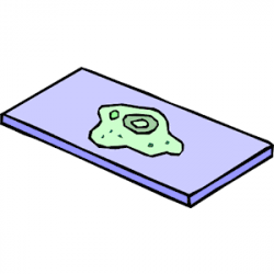 Biology - Bacteria 05 clipart, cliparts of Biology ...