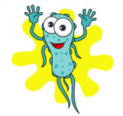 Bacteria clipart biology, Bacteria biology Transparent FREE ...