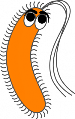 Germ clipart salmonella, Germ salmonella Transparent FREE ...