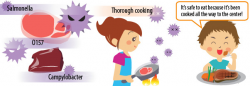 Tokyo Metropolitan Government food safety FAQ | Food Hygiene ...
