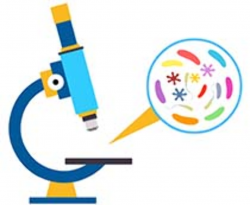 Search Results for bacteria - Clip Art - Pictures - Graphics ...