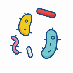 Bacteria PNG Images Transparent Free Download | PNGMart.com