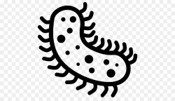 Bacteria Cartoon clipart - White, Product, Font, transparent ...