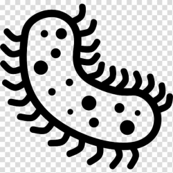 Bacteria Clostridium difficile Computer Icons Microbiota ...