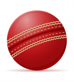 cricket ball vector illustration - Download Free Vectors ...