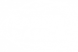 Bandai Namco | IM Republic