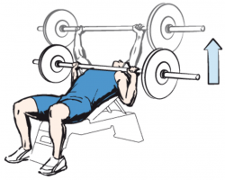 Barbell clipart bench press bar, Picture #79796 barbell ...