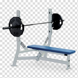 Bench press Fitness Centre Weight training Barbell, Exercise ...