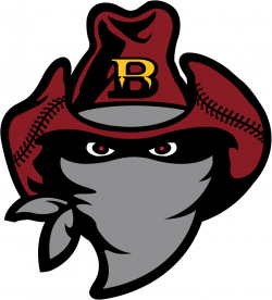 Brisbane Bandits Secondary Logo - Australian Baseball League ...