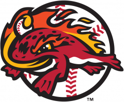 Florida Fire Frogs Logo | Like the logos, the Fire Frogs ...