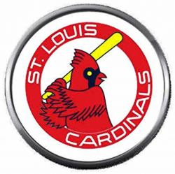Amazon.com: Old School MLB St Louis Cardinals Baseball Logo ...