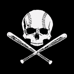 BASEBALL SKULL COOL LOGO
