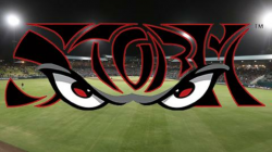 Storm Logo One of MiLB\'s Most Popular | Lake Elsinore Storm News