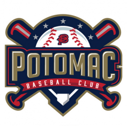 9 Best Baseball Team Logos and How to Make Your Own for Free ...