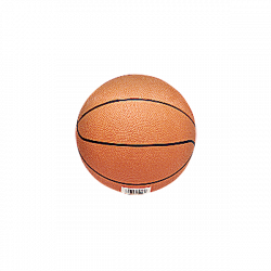 Mini Water Basketball