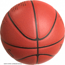Then & Now: NCAA Basketball Champions | Xyza - News for Kids
