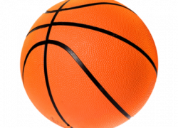Basketball PNG HD Transparent Basketball HD.PNG Images ...