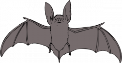 Bat clip art animal download vector clip - ClipartBarn