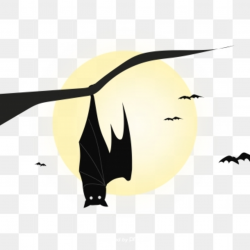 Vector Upside Down Bat, Bat Clipart, Vampire, Black PNG and Vector ...